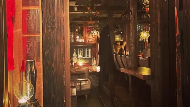 חלל עץ כהה עם צמחים מיובשים תלויים, נרות ובקבוקים על מדפים